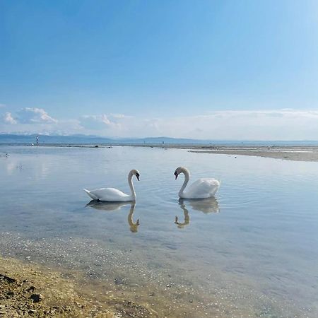 " Sunshine Am See " FDH Zewnętrze zdjęcie