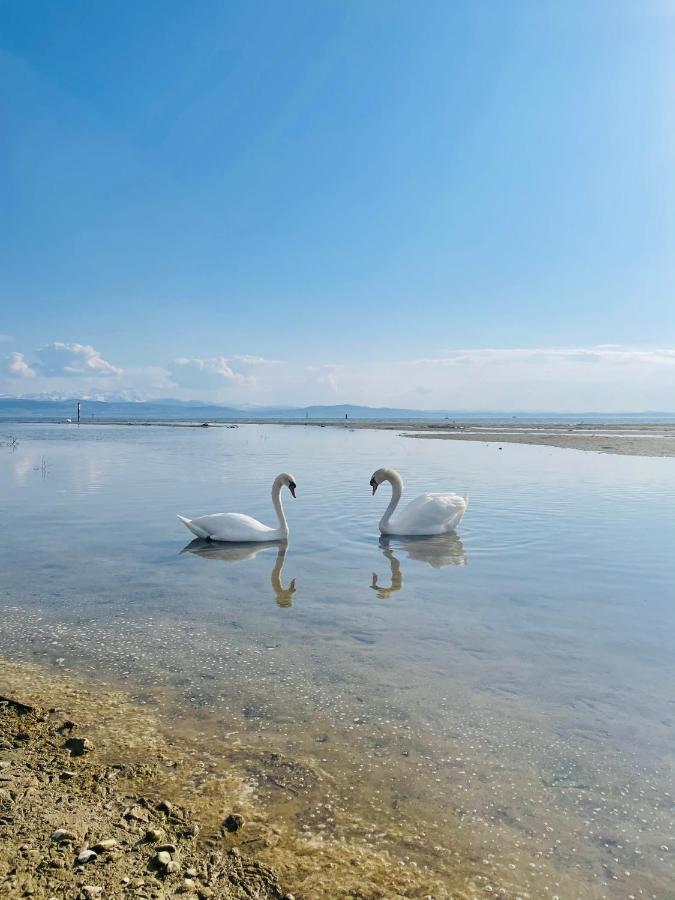 " Sunshine Am See " FDH Zewnętrze zdjęcie